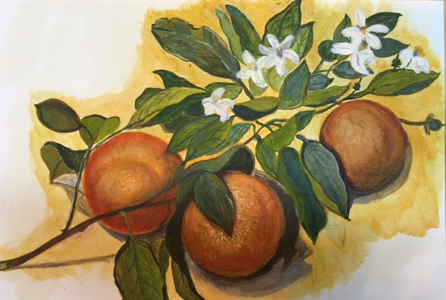 Orange blossom