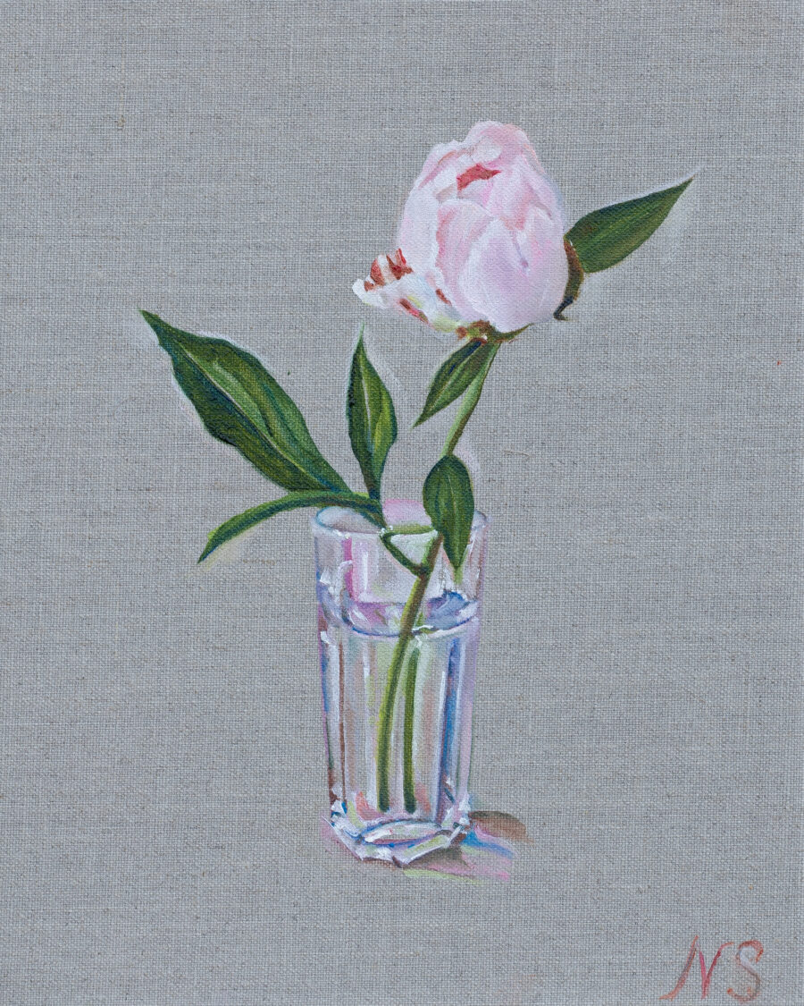 Pivoine dans un verre d’eau